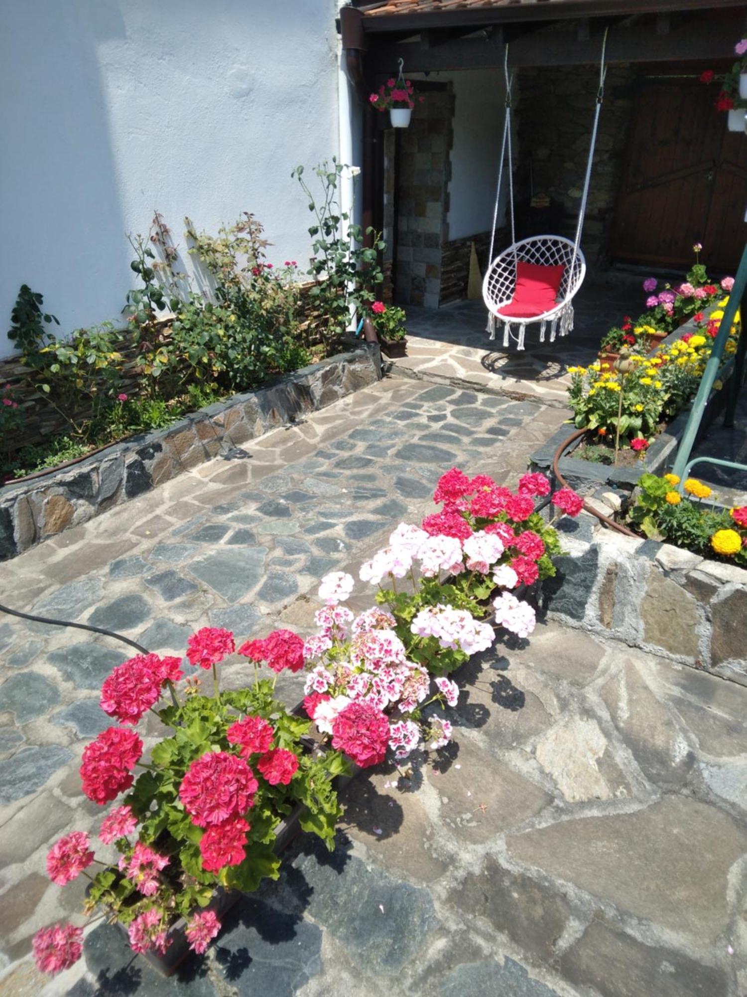 Guest House Popov Marchevo Luaran gambar